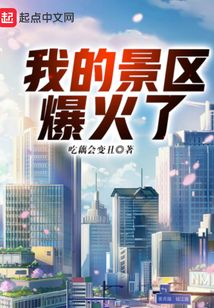 我的景区爆火了TXT下载