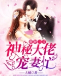 傲娇三宝,神秘大佬宠妻忙