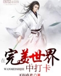 在完美世界中打卡