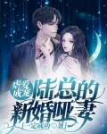 虐爱成宠：陆总的新婚哑妻