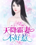 天降霸妻不好惹