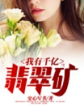 我有千亿翡翠矿