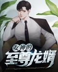 女神的至尊龙婿