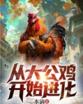 从大公鸡开始进化