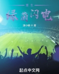 重生绿茵闪电