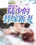婚情急事:陆少的替嫁新妻