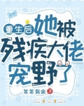 重生后她被残疾大佬宠野了