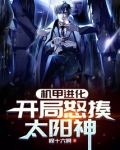 机甲进化:开局怒揍太阳神