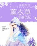 王俊凯之薰衣草的绽放