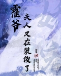 霍爷,夫人又在装傻了