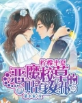 恶魔校草的贴身女仆:柠檬半夏