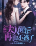 顾少,夫人醒后再也不逃了