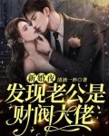 新婚夜，发现老公是财阀大佬