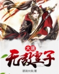 大唐无敌皇子