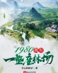 1980,我有一整座林场
