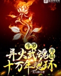 斗罗:异火武魂,开局十万年魂环