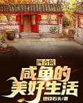 四合院：咸鱼的美好生活