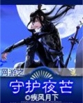 网游之守护夜芒