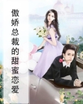 傲娇总裁的甜蜜恋爱