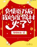 负债百万后,我的度假村火了