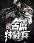 龙国荣耀:首席特种兵