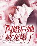 闪婚后她被宠爆了