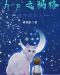 hp之玛格丽特式恋人