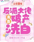 二次穿书,反派大佬竟靠破产洗白