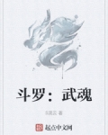 斗罗:武魂