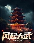风起大武