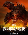盘龙,我以阵法超脱