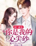 豪门盛宠,你是我的心尖砂