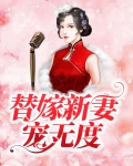 替嫁新妻宠无度