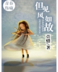 但见风如故