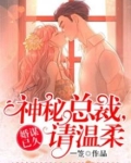 婚谋已久:神秘总裁,请温柔