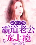 先婚后爱:霸道老公宠上瘾