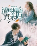 清风拂面,君未归
