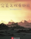 完美之双重卧底