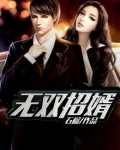 无双招婿