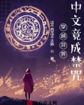 穿越异界,中文竟成禁咒?!