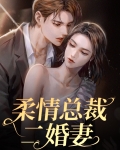 柔情总裁二婚妻