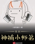 我的神捕小师弟