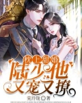 枕上甜婚:陆少他又宠又撩