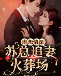 虐恋情深:苏总追妻火葬场