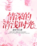情深的清浅时光