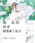 你走后,四季都变成了夏天