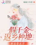 假千金返乡种地,被迫卷玄学