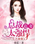 亿万枭宠，总裁追妻太强悍