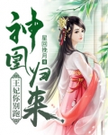 神凰归来:王妃你别跑