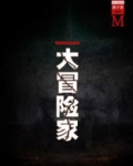大冒险家(谜小说系列)